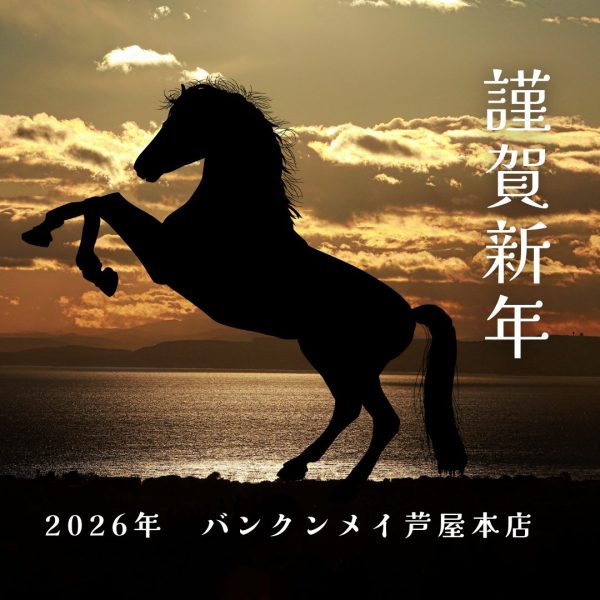 2026年初めに☆ 画像